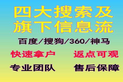 体育赛事宣传中的SEM托管服务：从策划到执行